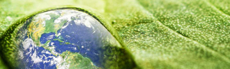 Affinia Hotels &ndash; Earth Day Flyer
